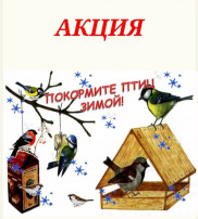 Экологическая Акция «Покормите птиц зимой - 2024» Экологическая Акция «Покормите птиц зимой - 2024».