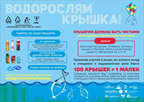 Экологическая акция «Водорослям крышка» Экологическая акция «Водорослям крышка».